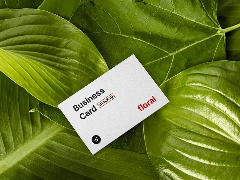 Free Floral Business Card Mockup