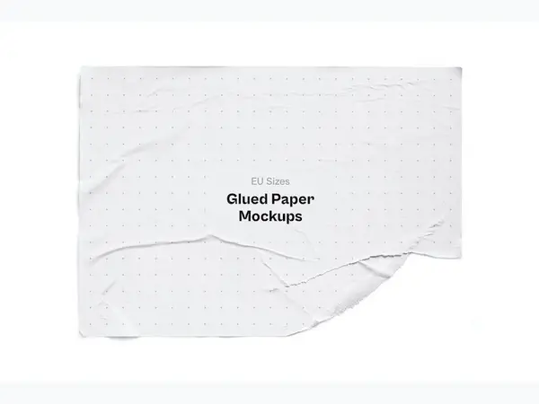 Glued Paper Mockup, EU Glossy, 24