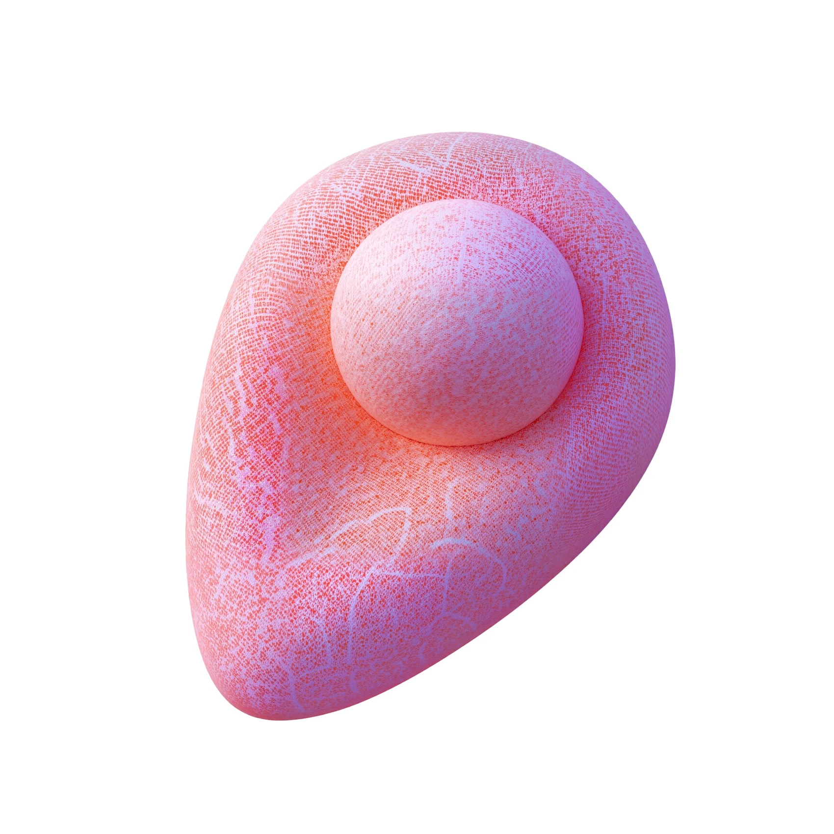 Futeral Abstraction, 48 1