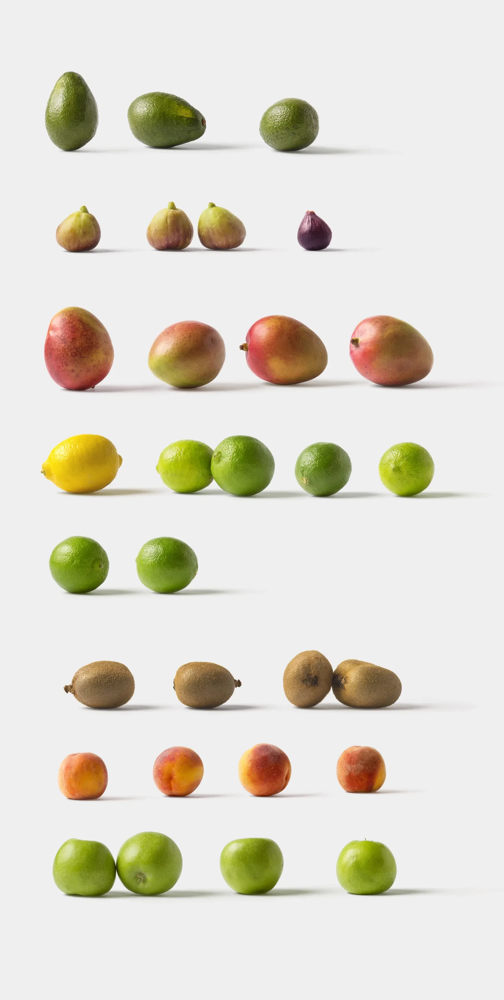 Fruits and Vegetables 7