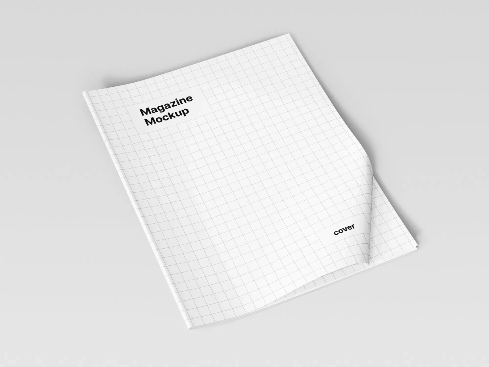 Magazine Mockup Bundle 20