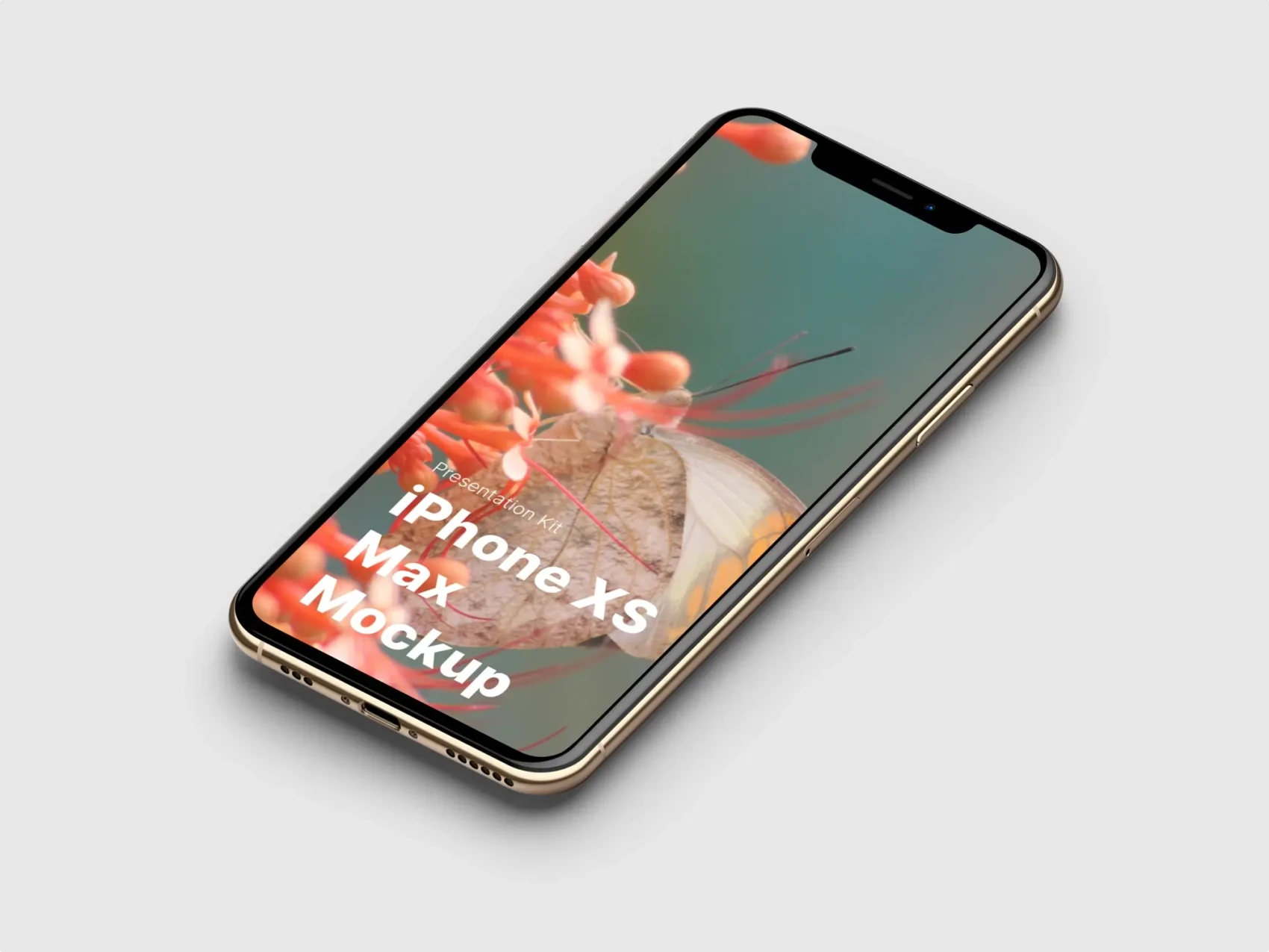 iPhone XS Max Mockups 30