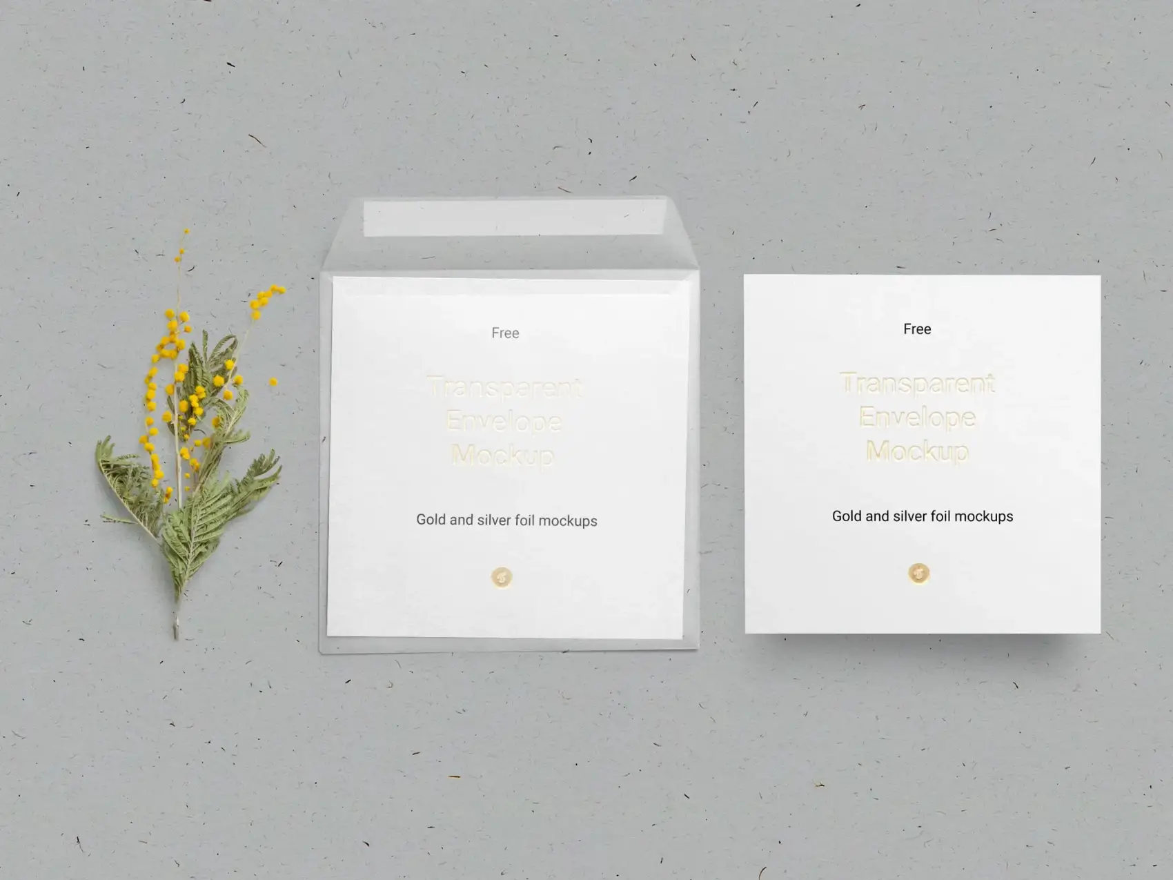 Free Envelope & Card Mockup 3