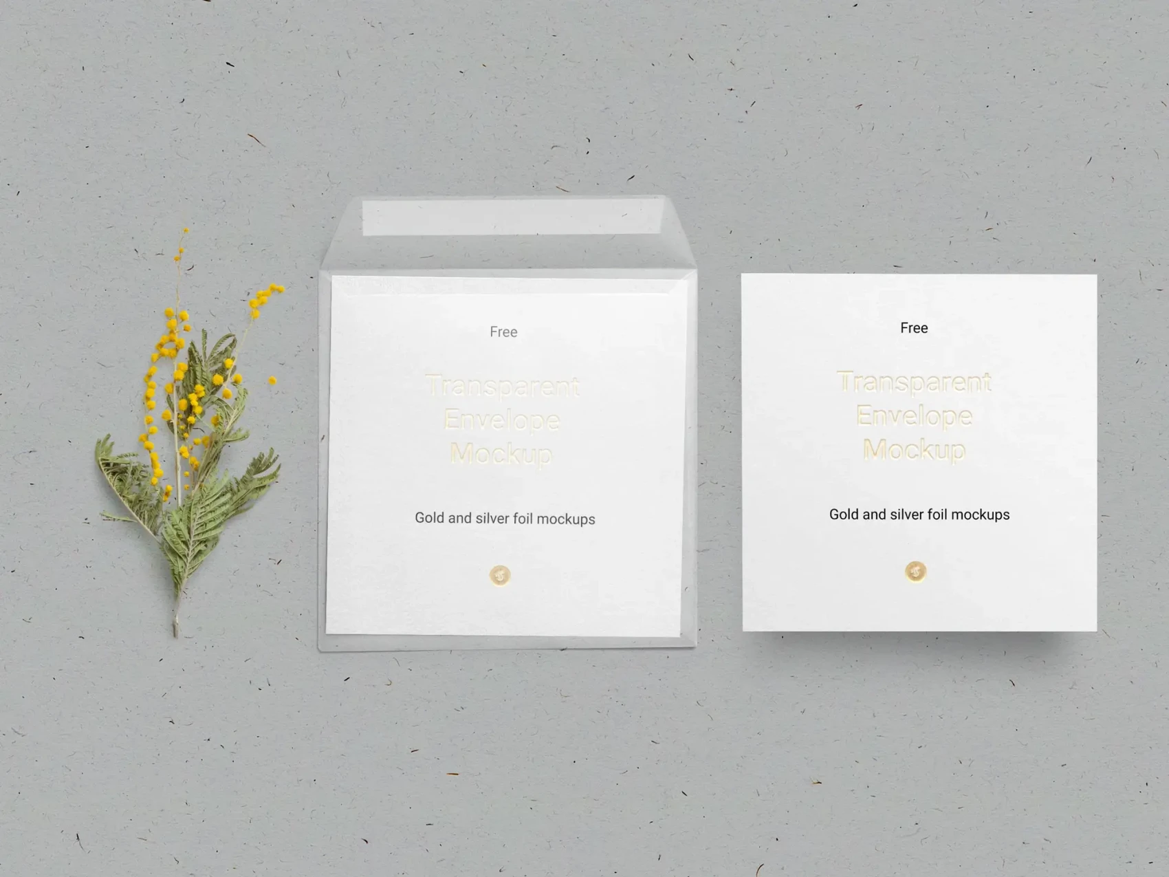 Free Envelope & Card Mockup 3