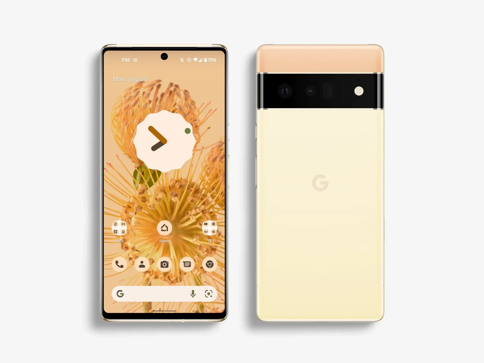 Google Pixel 6 Pro Mockups 49