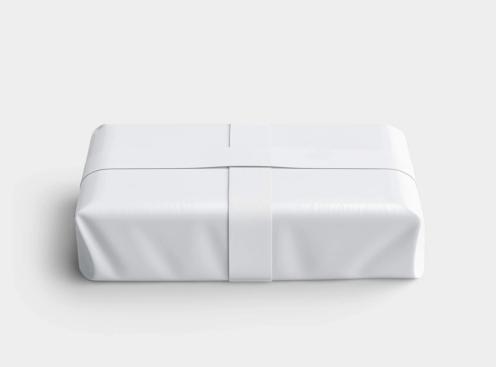 Free Package Box Mockup 2
