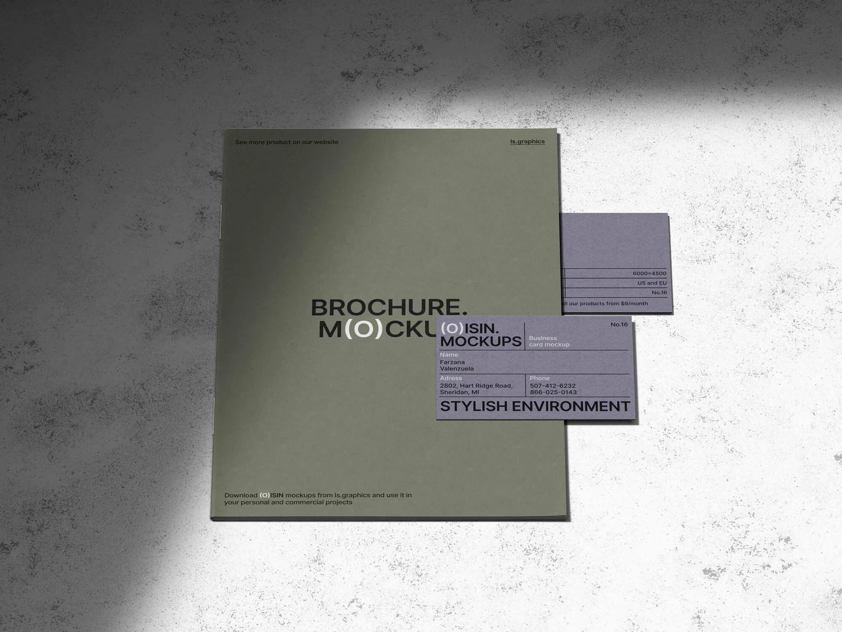 Oisin, Stylish Brochure Mockup and Business Card Mockups, EU, 16 1