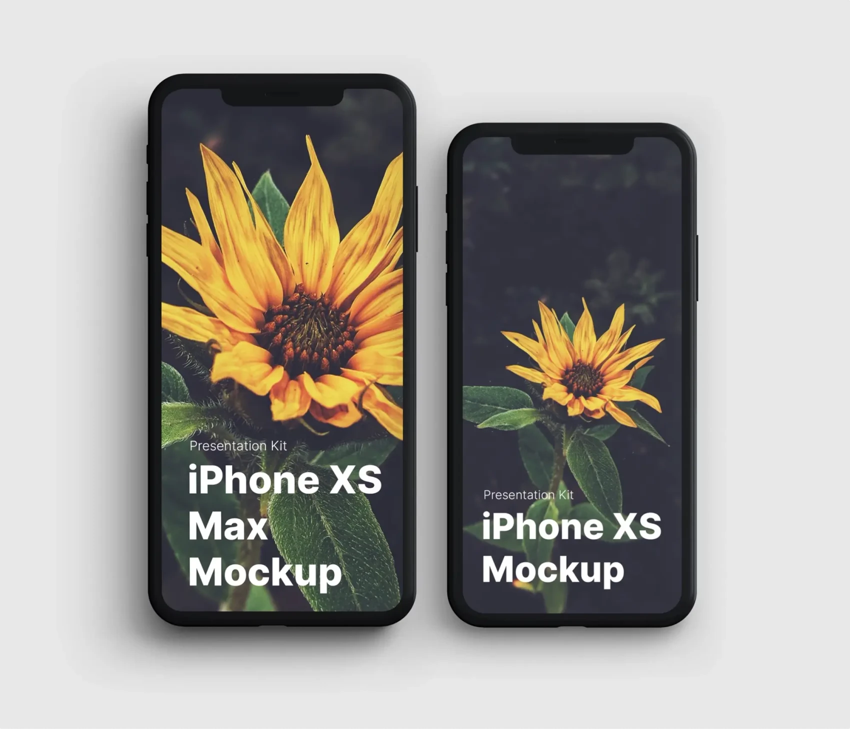iPhone XS Max Mockups 43