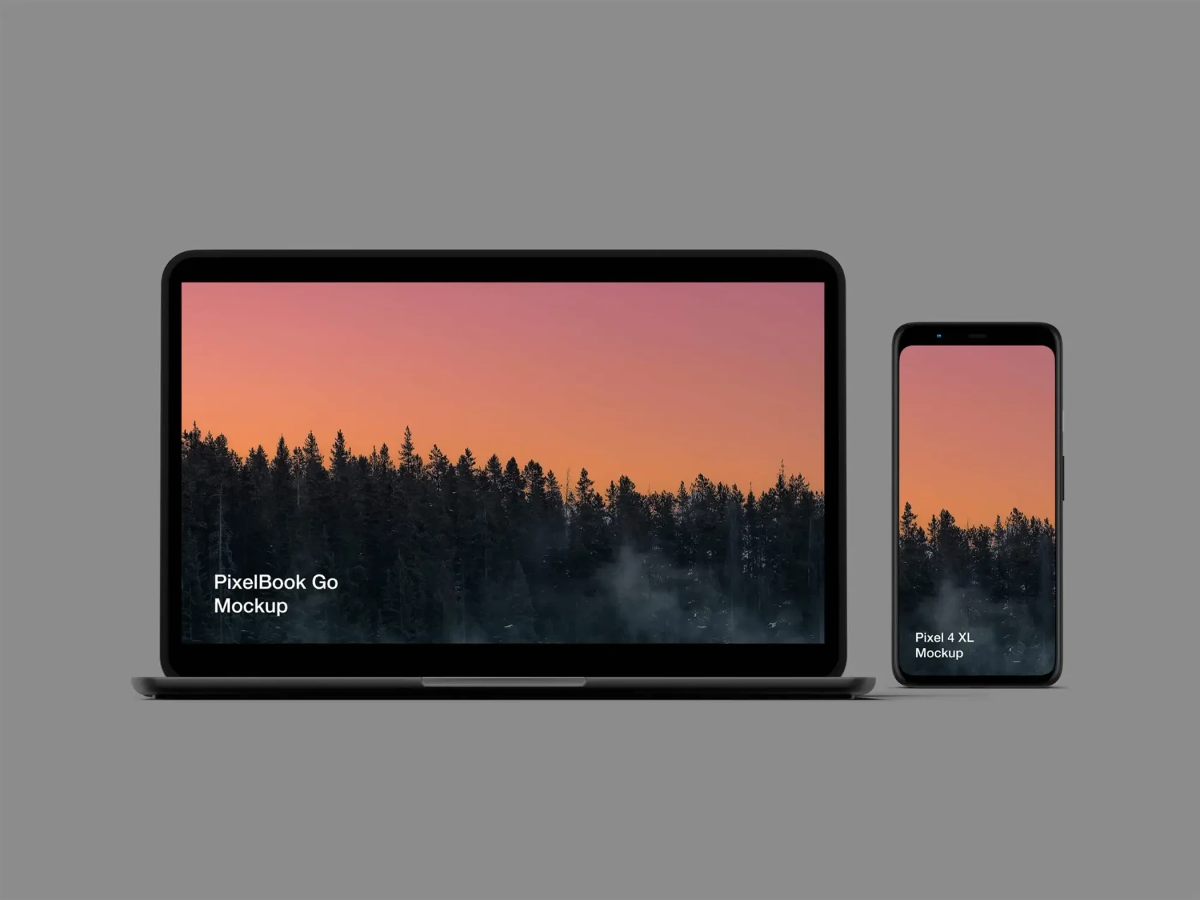 Free Pixel 4 and PixelBook Go Mockup 1