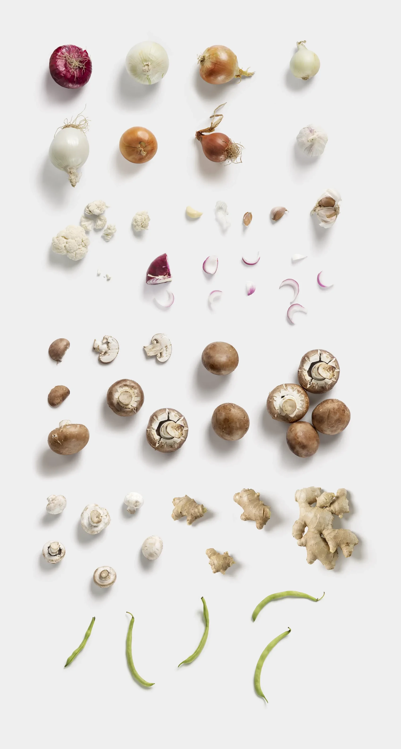 Fruits and Vegetables 9