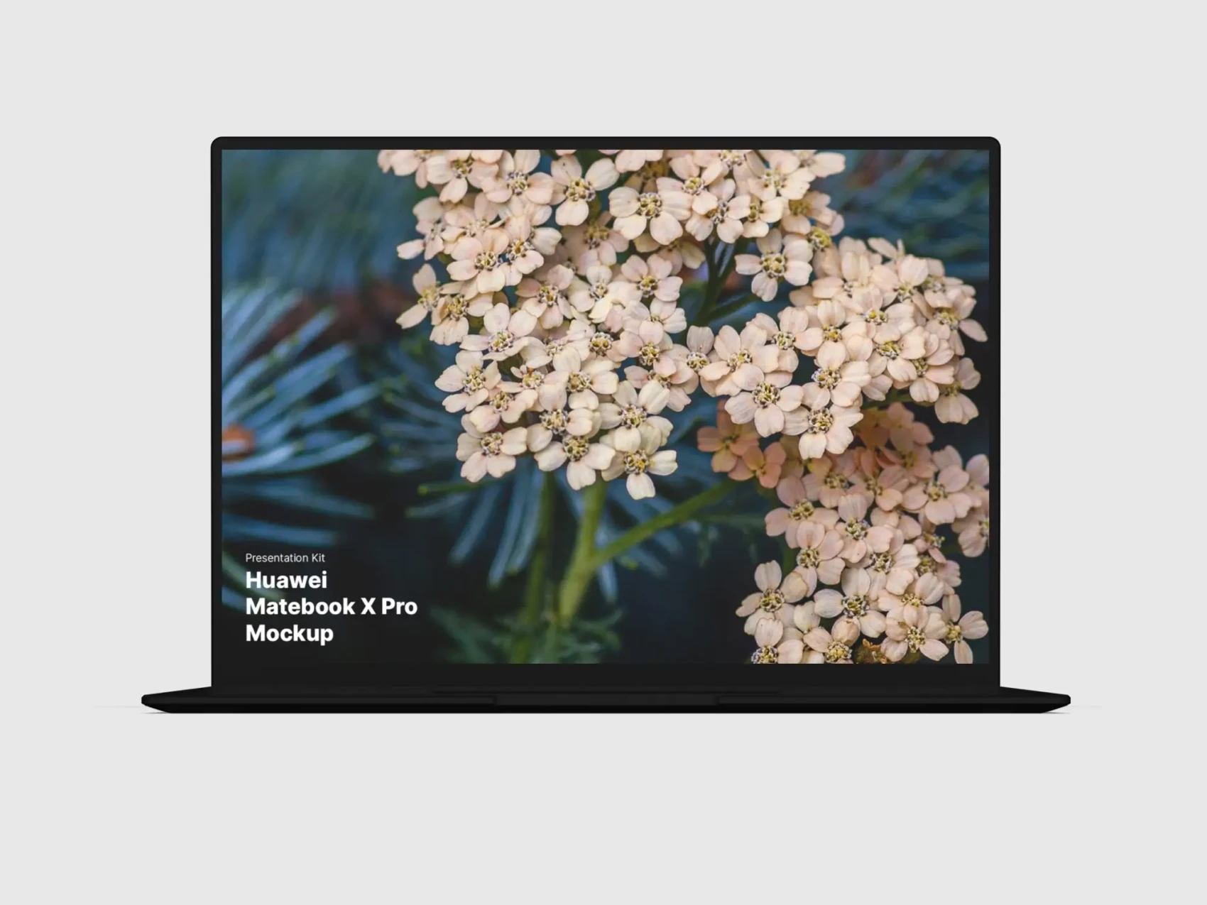 Huawei MateBook X Pro Mockups 13