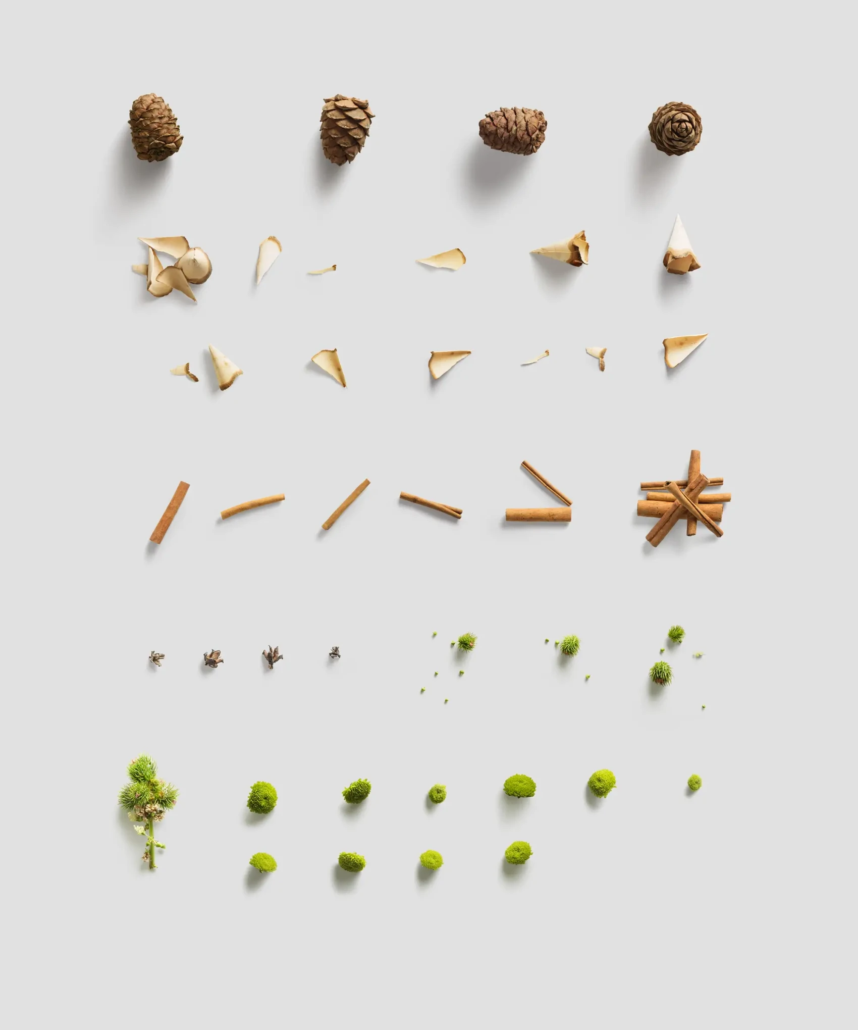 Environment Items 13