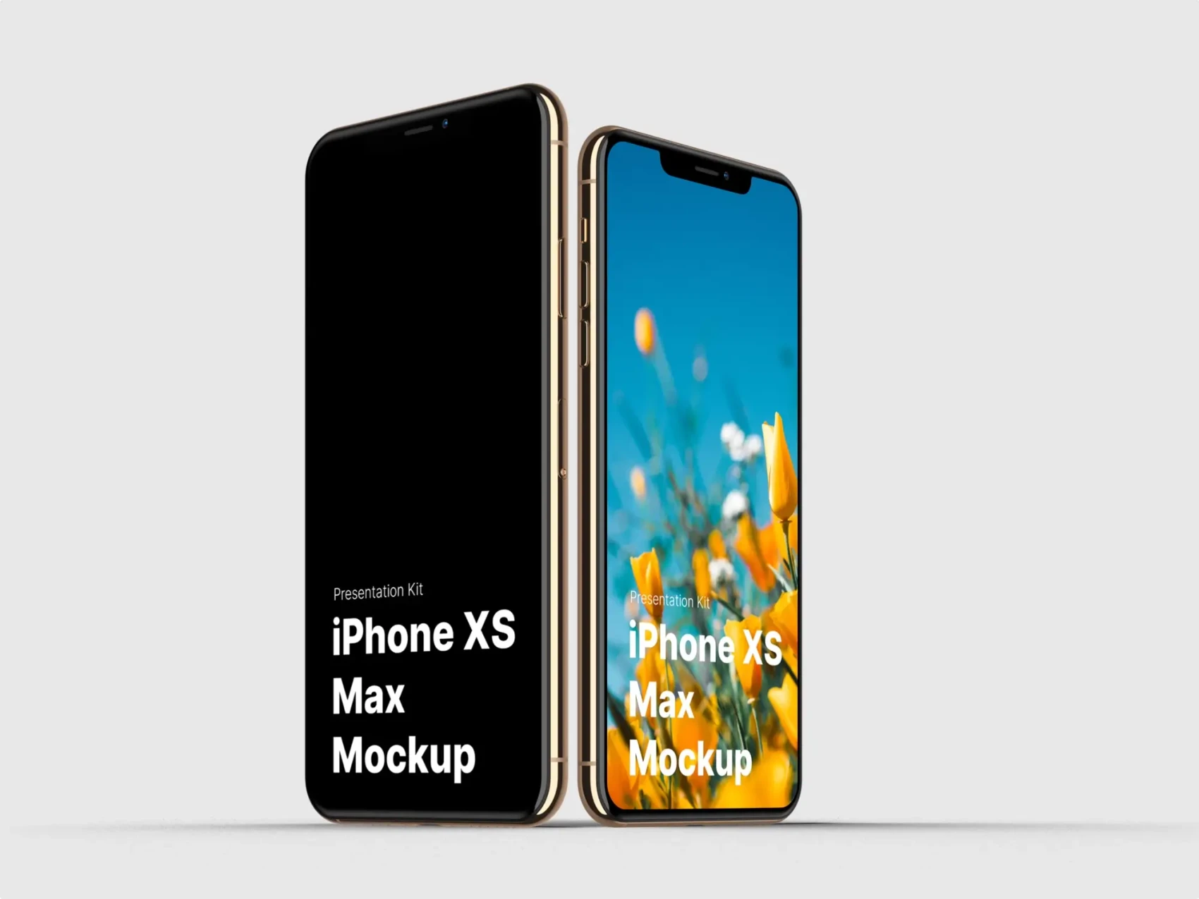 iPhone XS Max Mockups 34