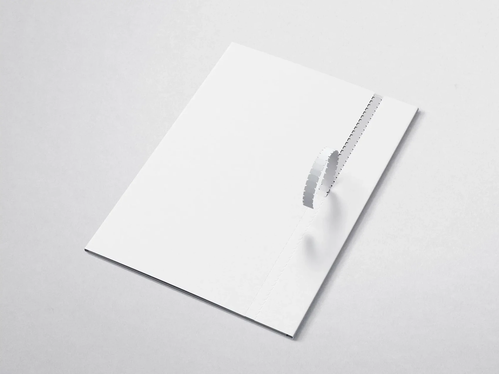 Free Folder Mockup with the Perforation 2