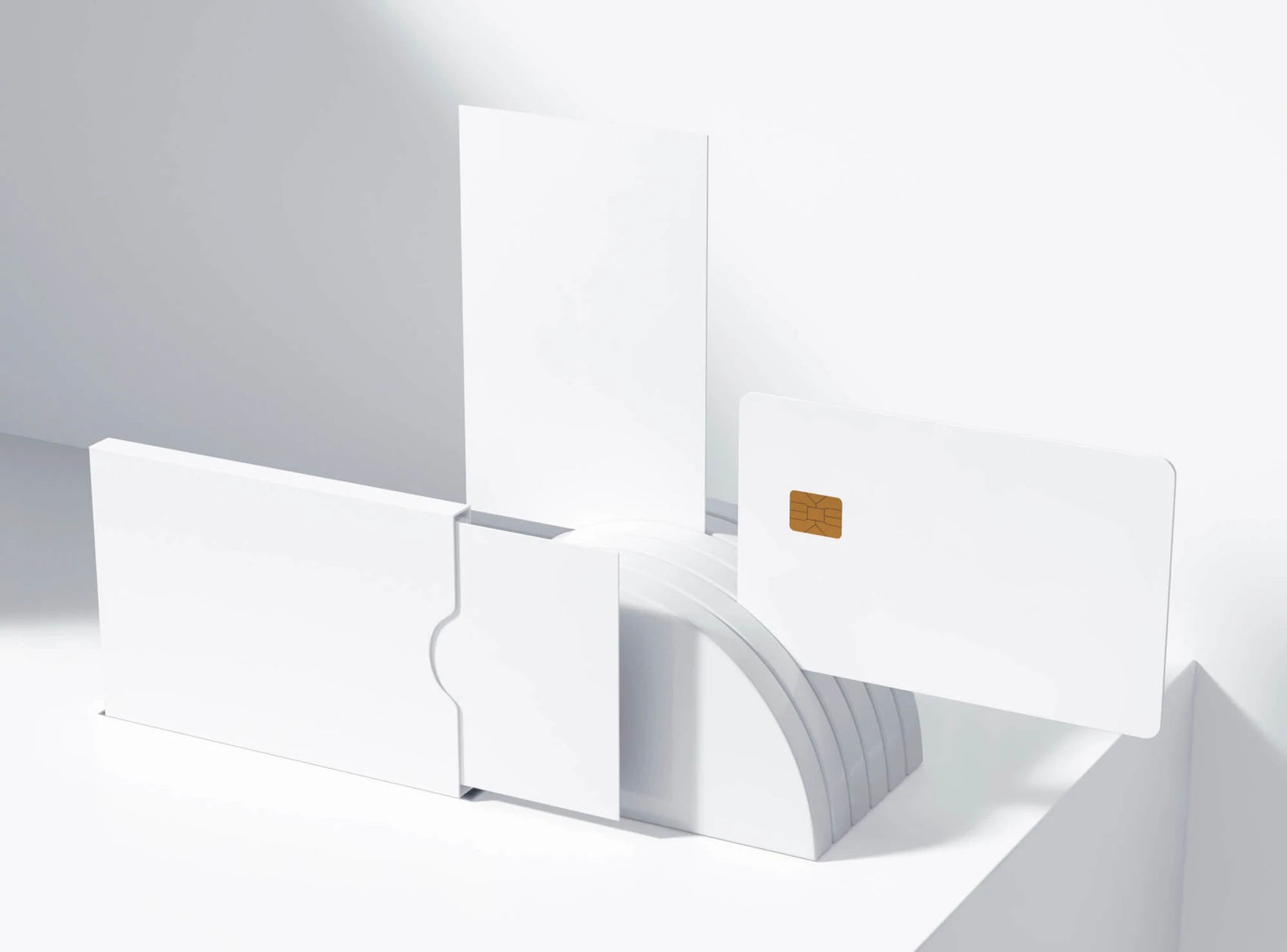 Free Cardholder with Cards Mockup 2