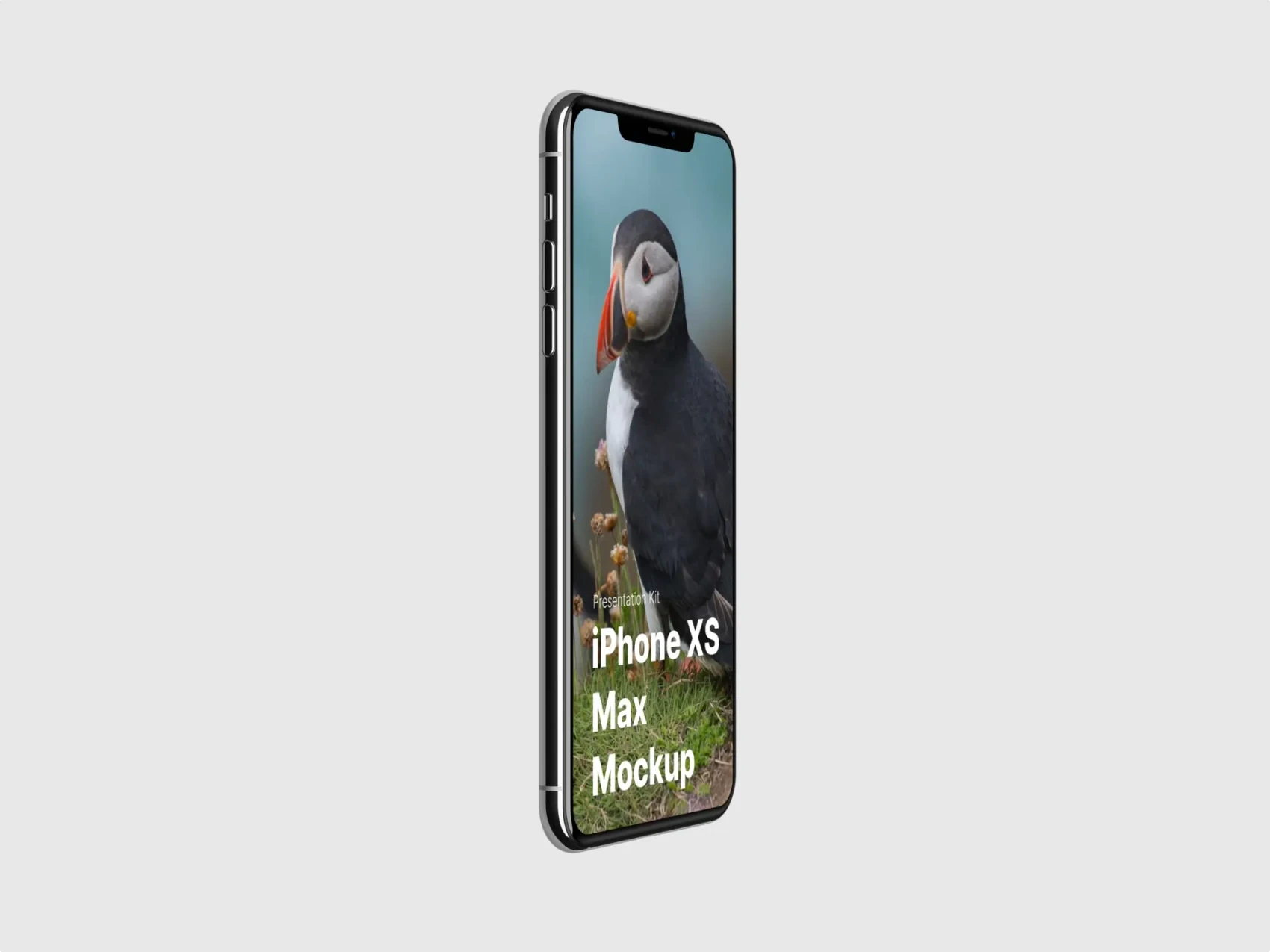 iPhone XS Max Mockups 19