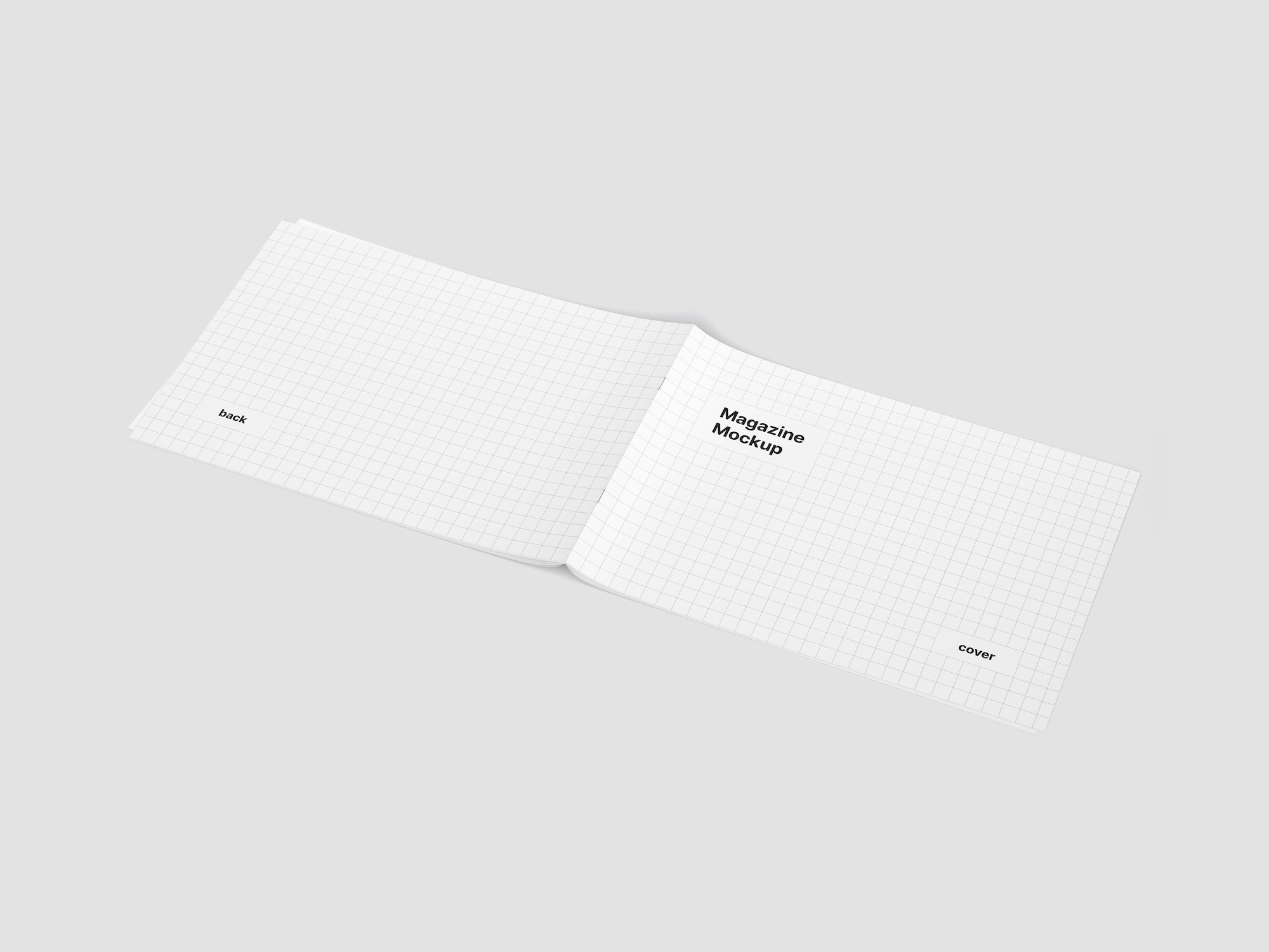 Magazine Mockup, EU Landscape, 01