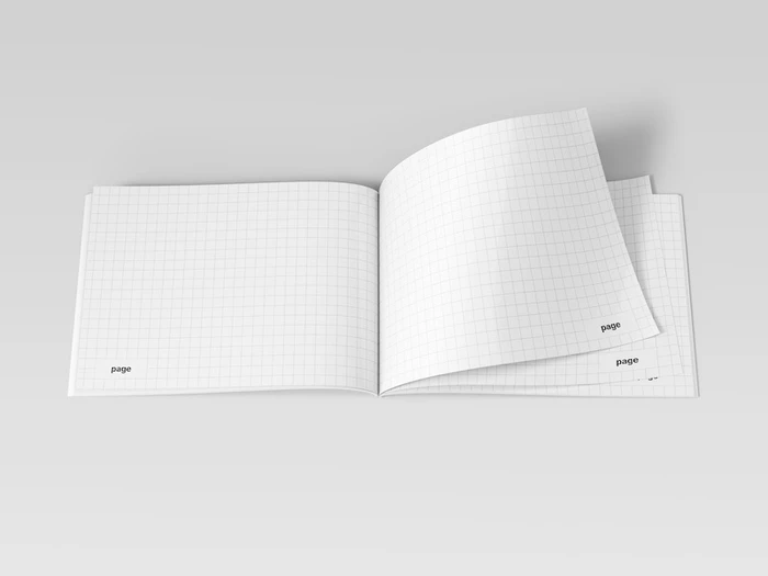 Magazine Mockup, EU Landscape, 08