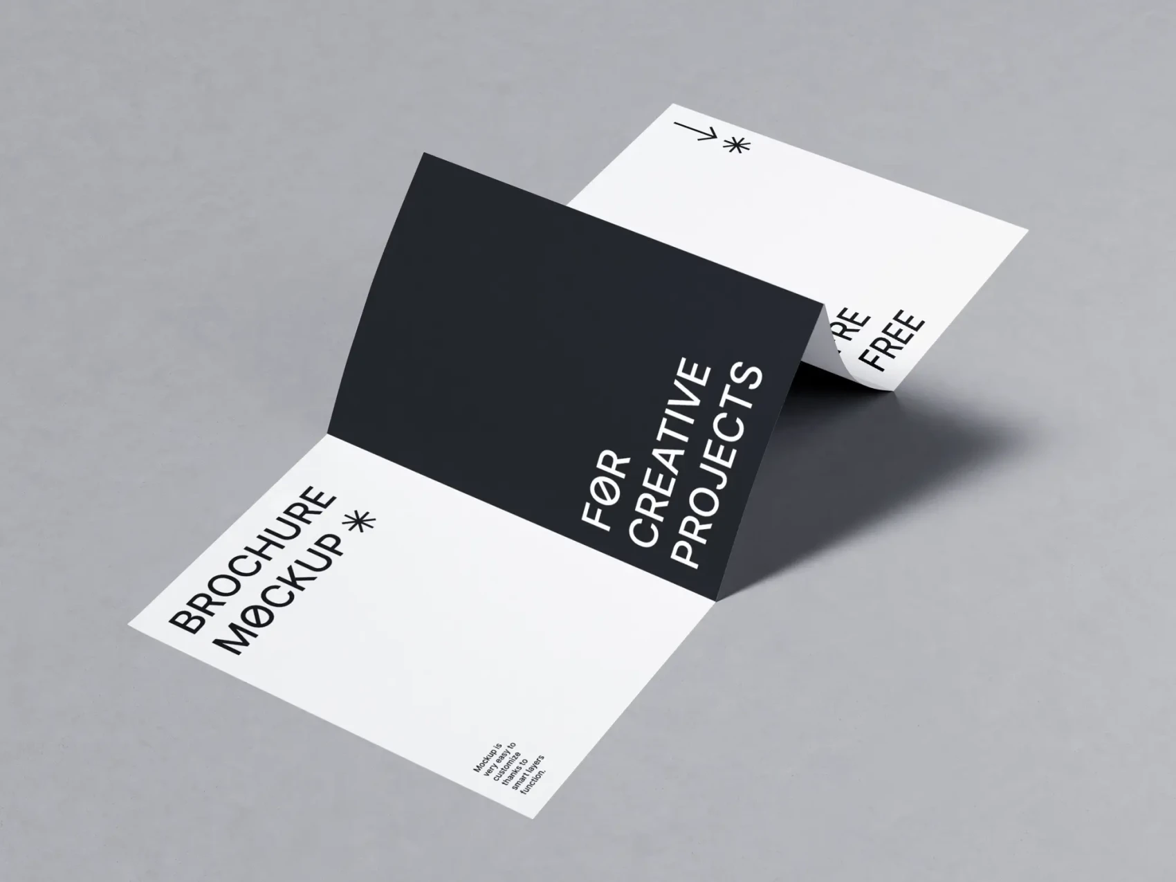 Free Folded Brochure PSD Mockup 1