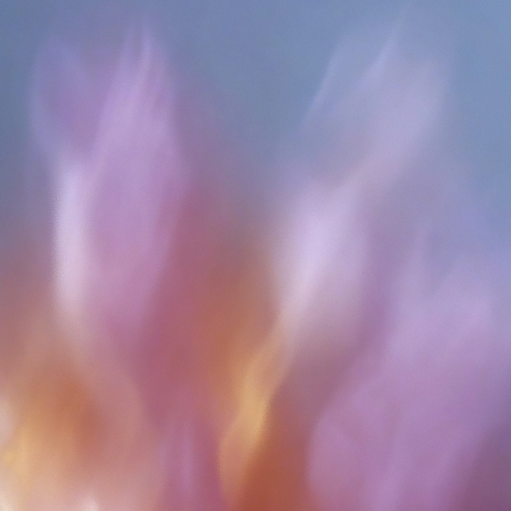 Grainy Blur Abstraction, 19 1