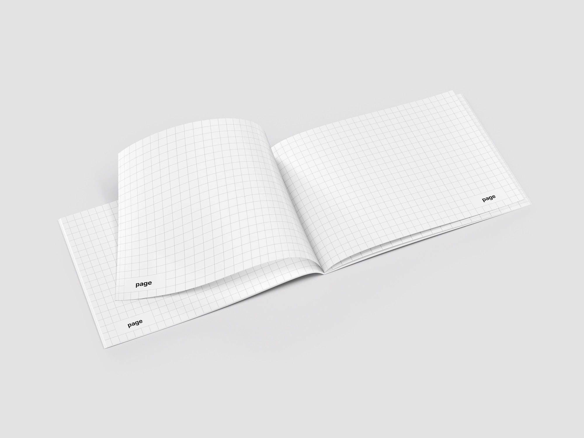 Magazine Mockup, EU Landscape, 02