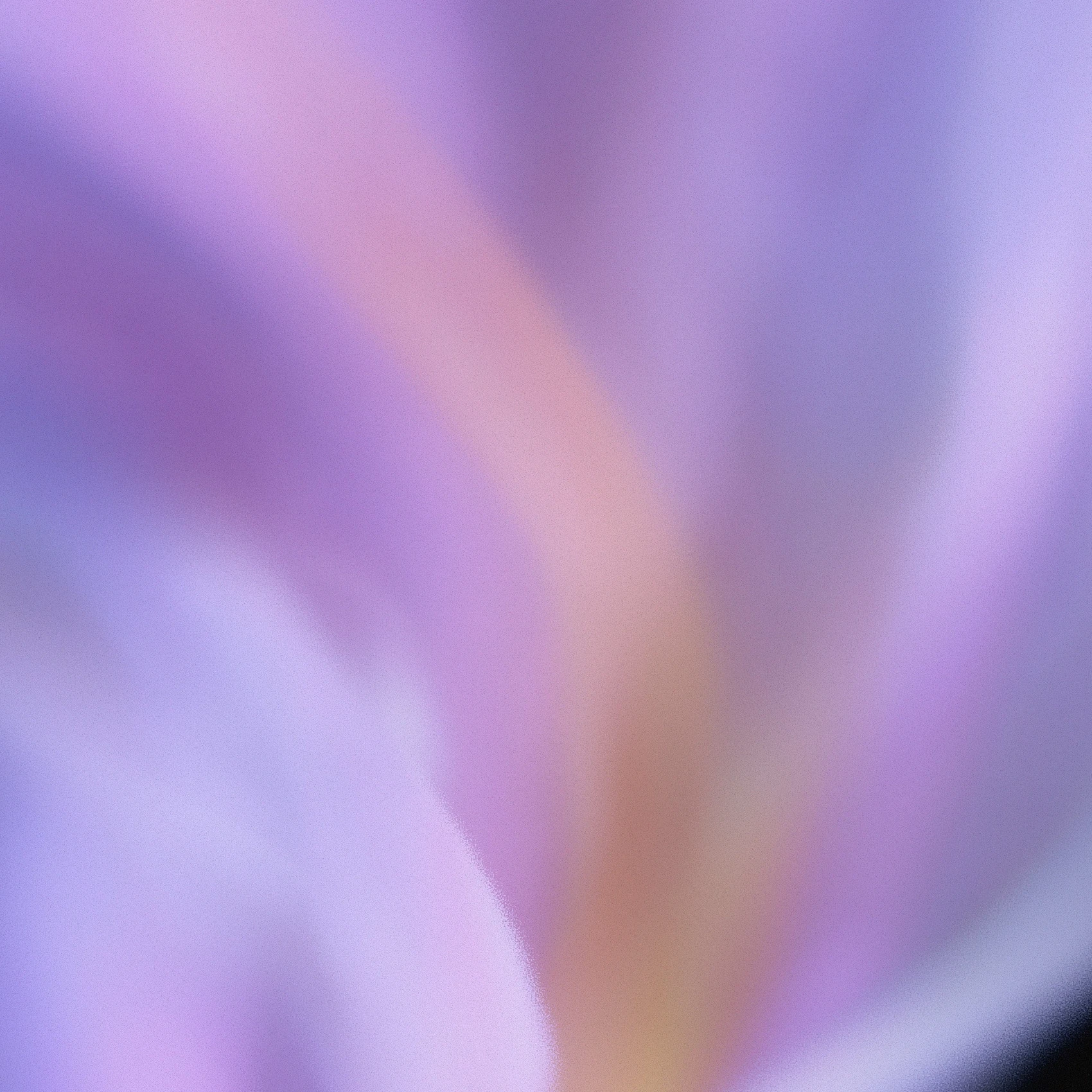 Grainy Blur Abstraction, 55 1