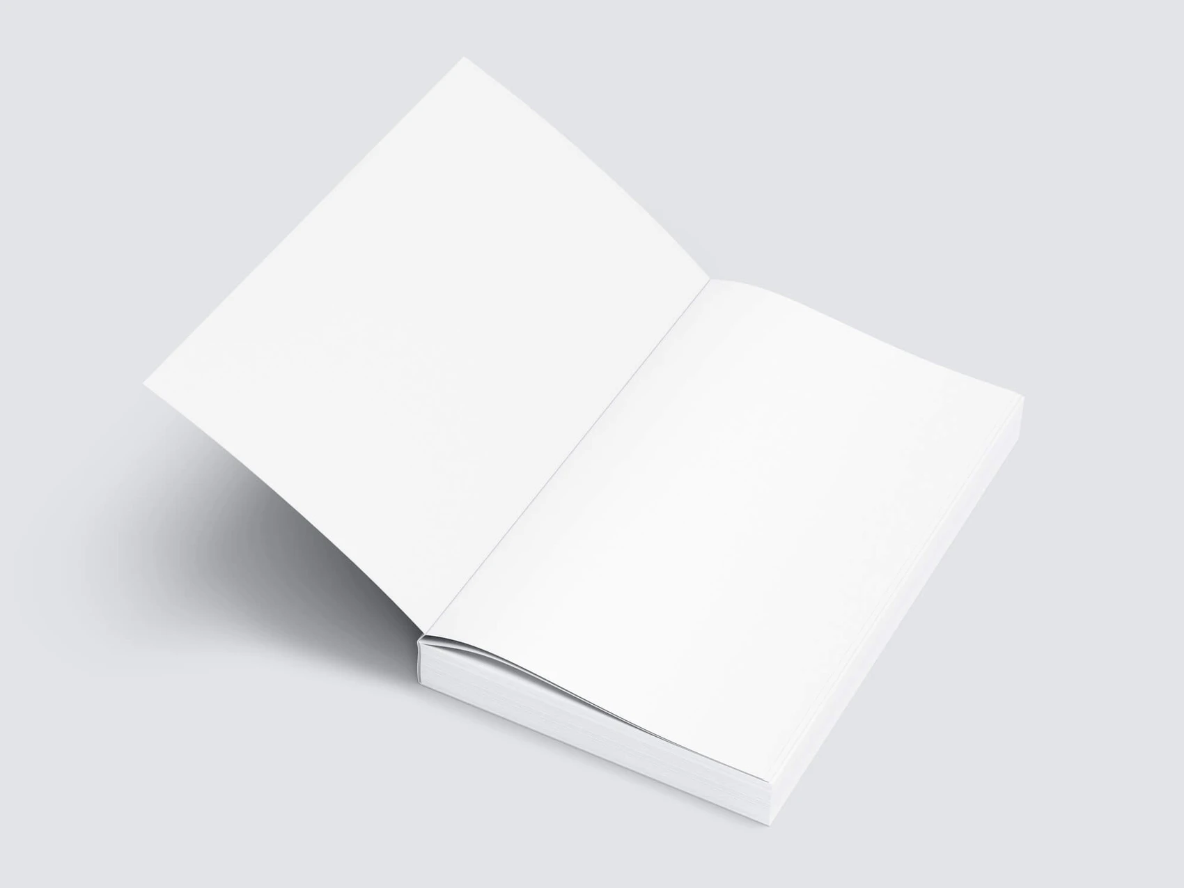 Book Mockup, US-Angled, 09 1