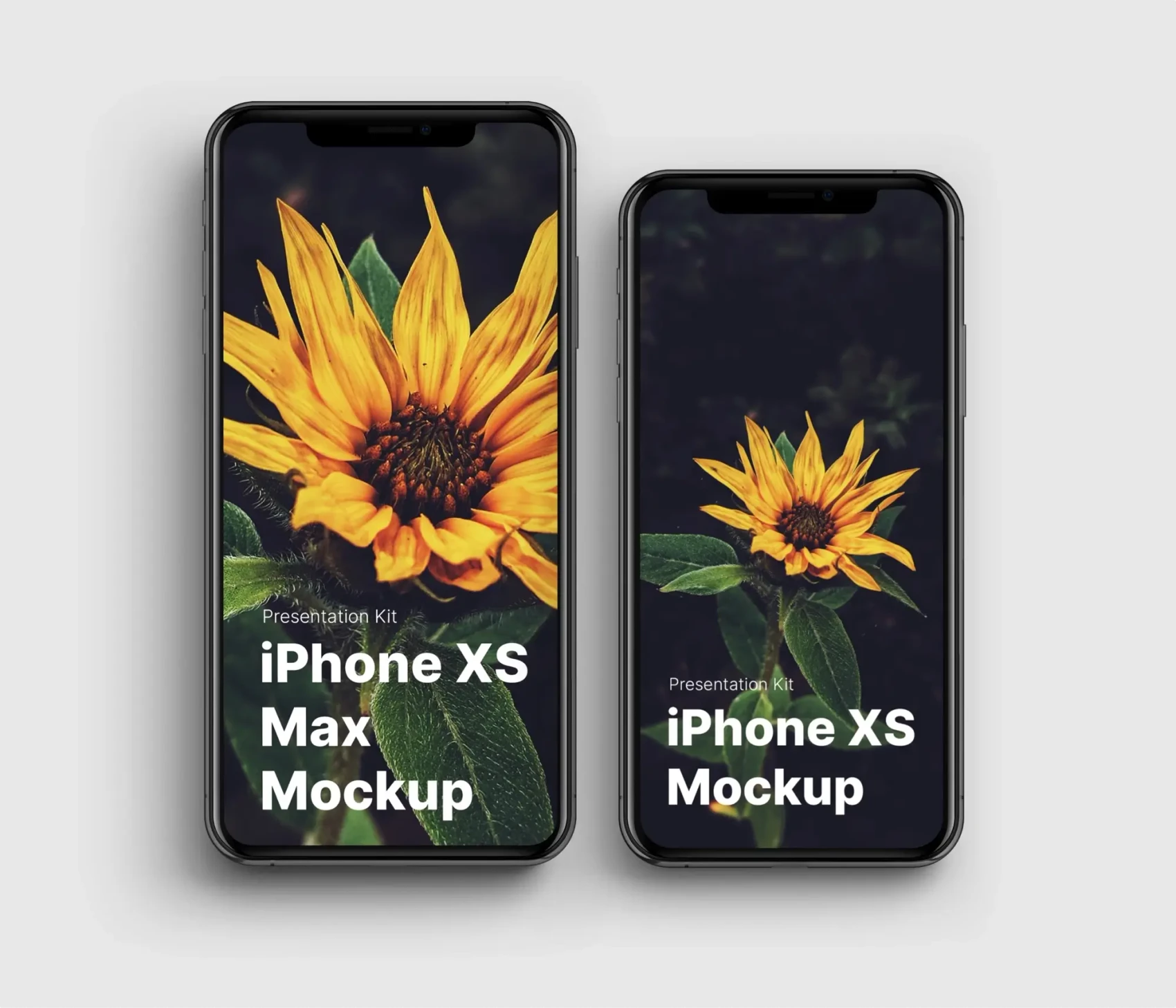 iPhone XS Max Mockups 2
