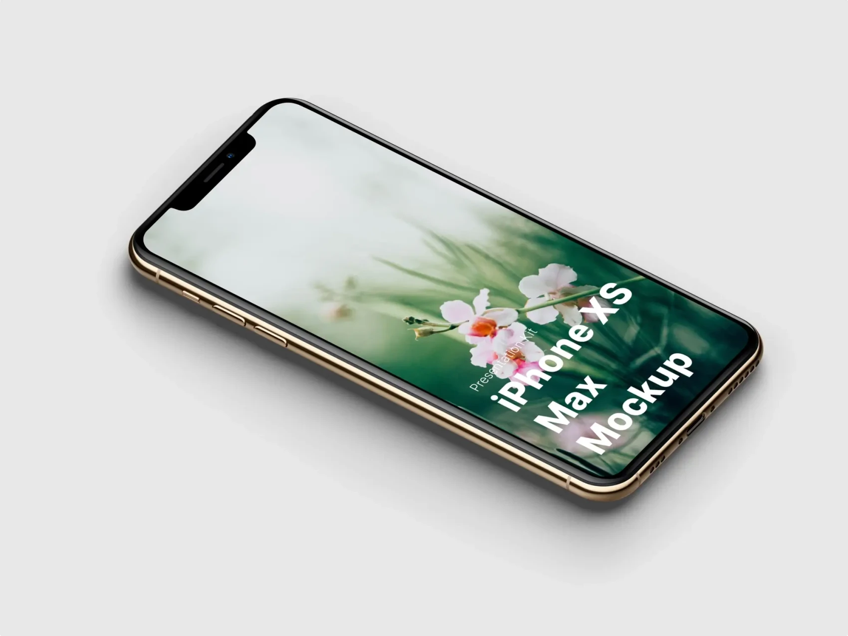 iPhone XS Max Mockups 28