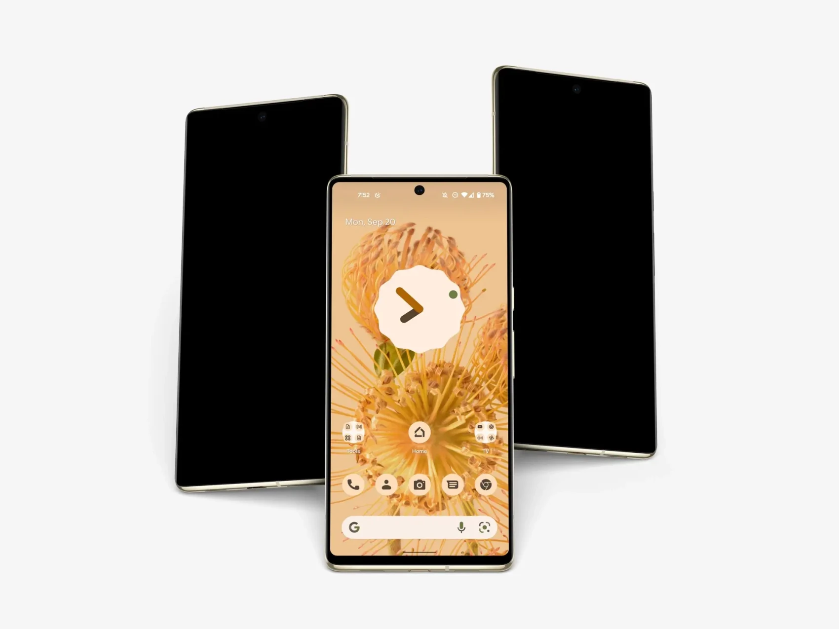 Google Pixel 6 Pro Mockups 55