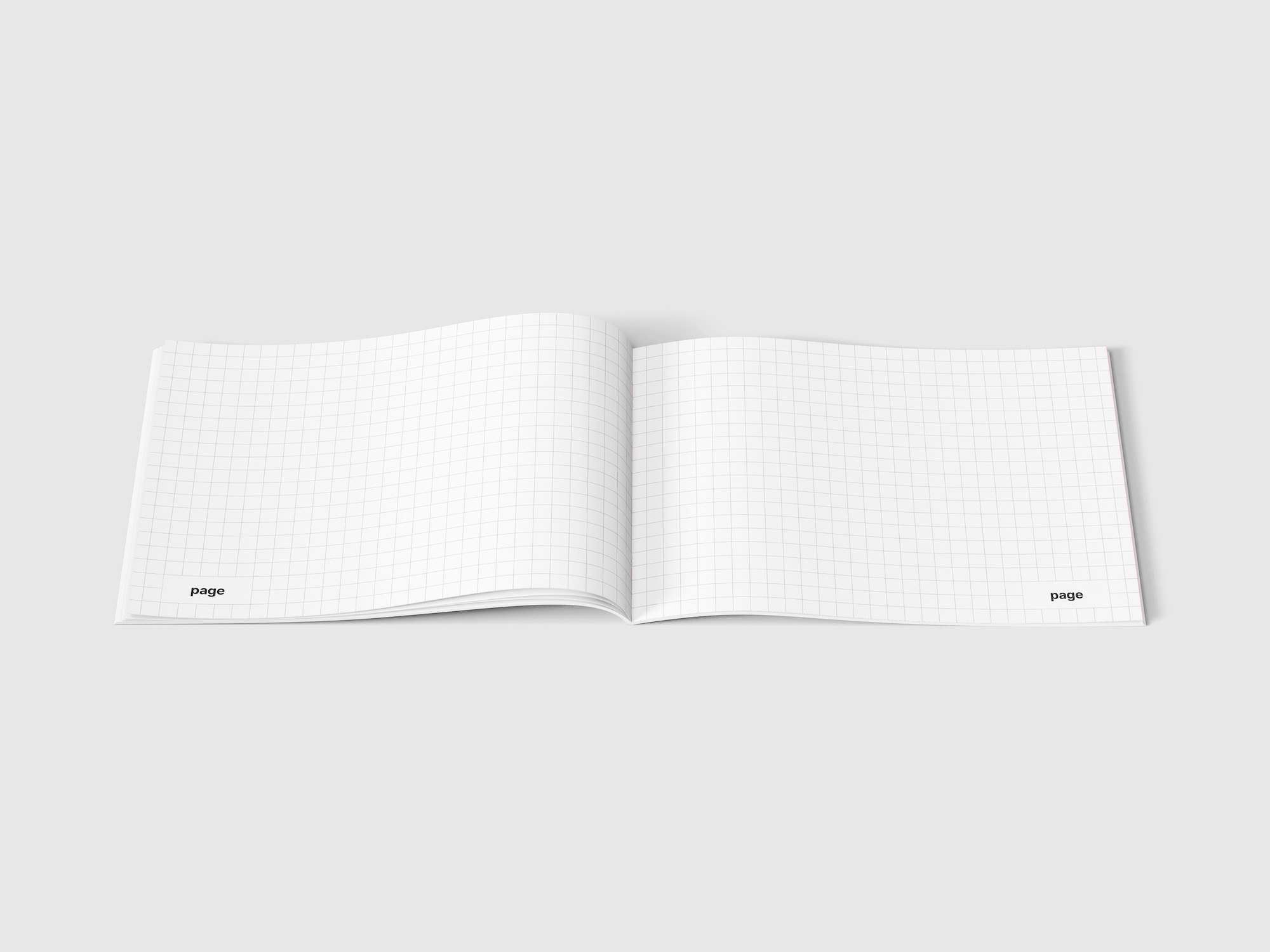 Magazine Mockup, EU Landscape, 04