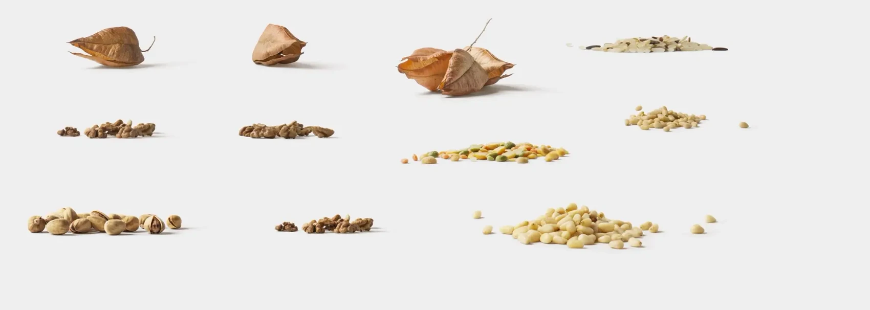 Fruits and Vegetables 5