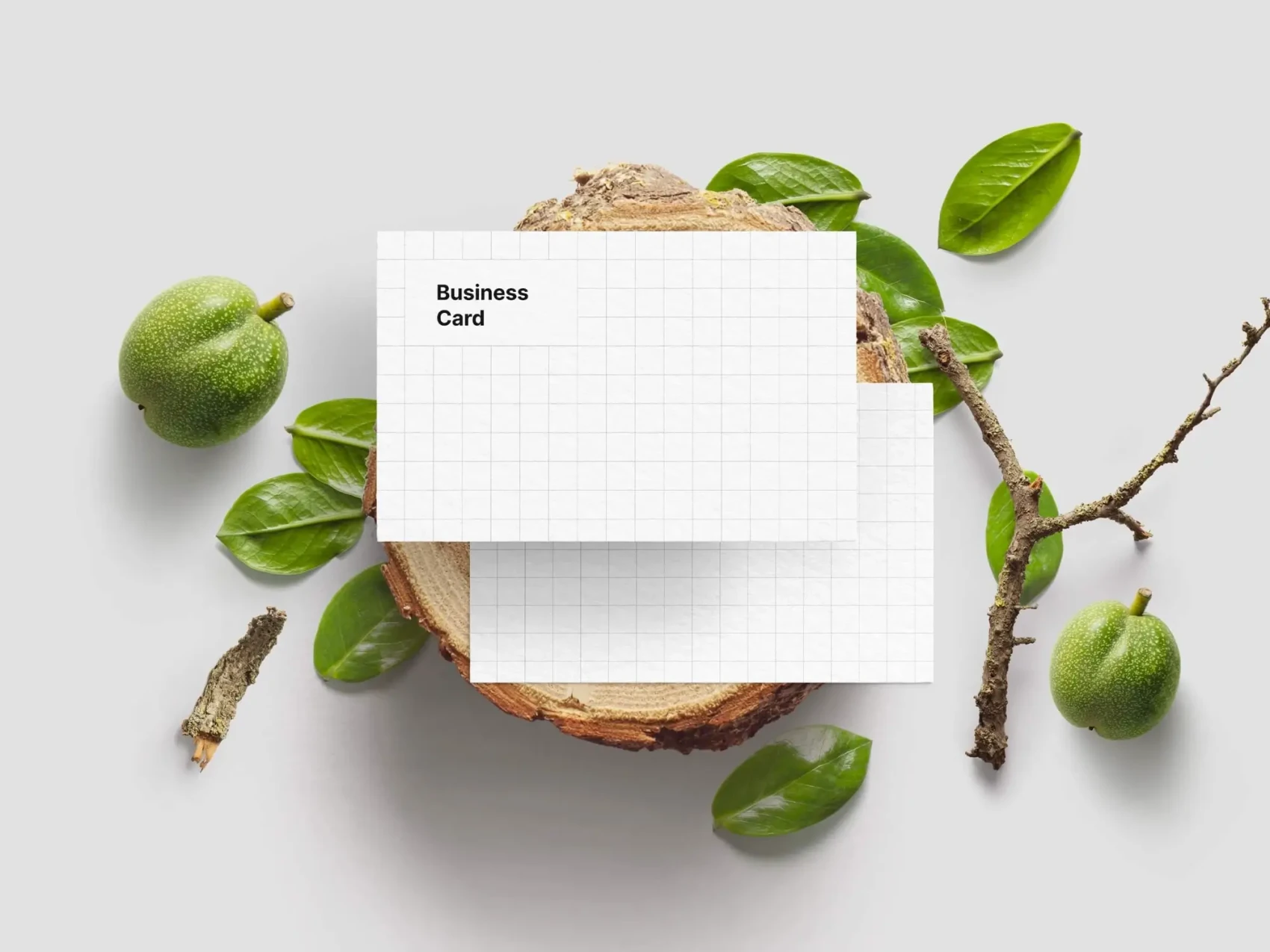 Business Card Mockups 46