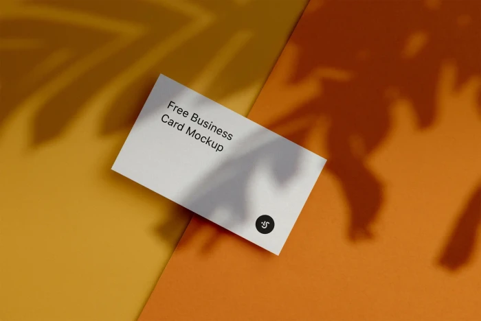 Free Changeable Colors Business Cards Mockups