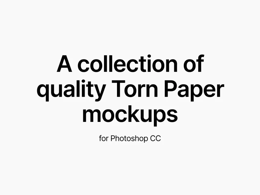 Torn Paper Mockups 2