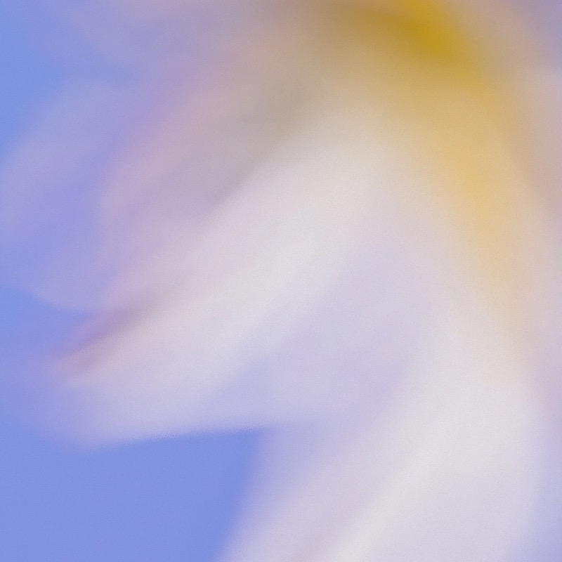 Grainy Blur Abstraction, 5