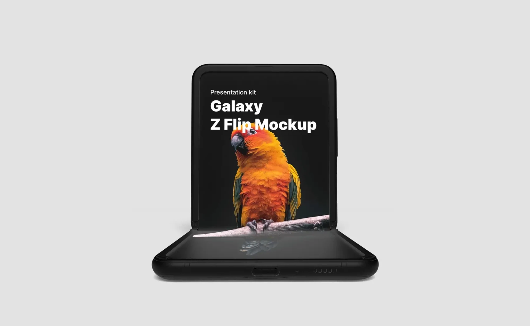 Samsung Galaxy Z Flip 24