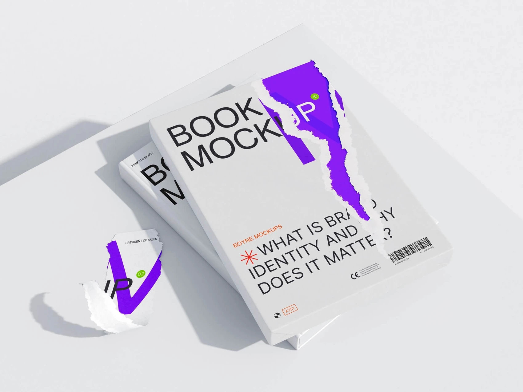 Boyne, Realistic Book Mockups and Packaging Mockups, EU, 12 1