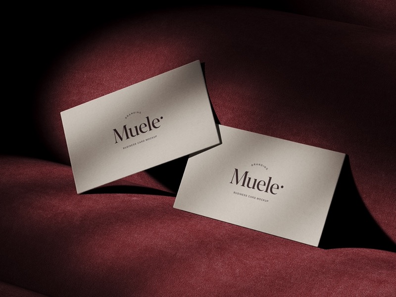 Muele, Stylish Business Card Mockups, US, Scene 03