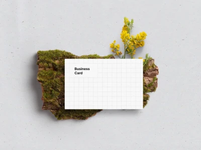 Business Card Mockups