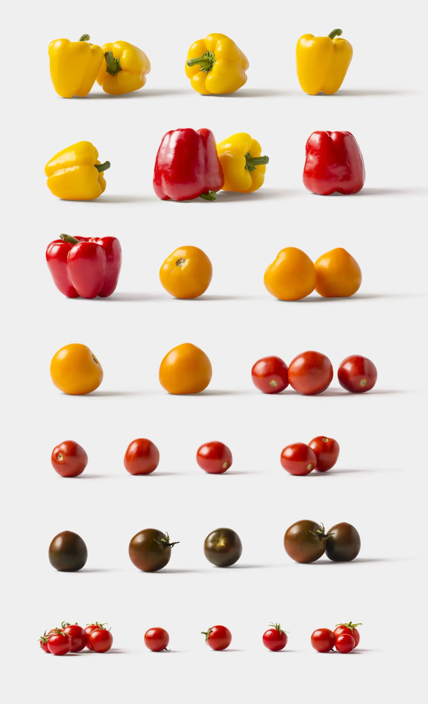 Fruits and Vegetables 3