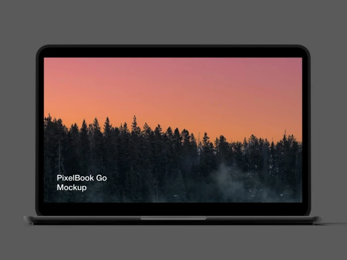 Free Pixel 4 and PixelBook Go Mockup