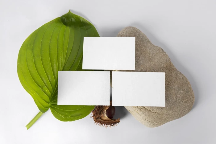 Free Three Business Cards Mockups