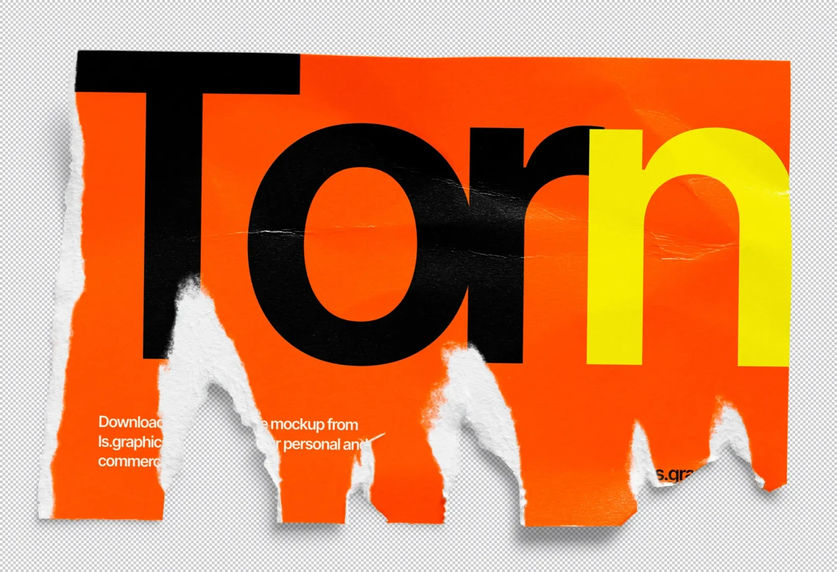 Torn Paper Mockups 2