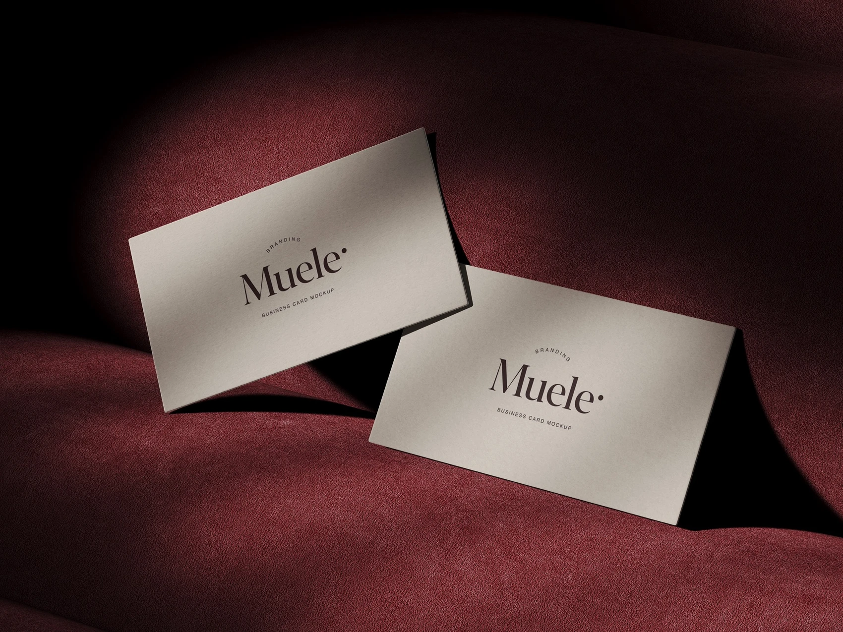 Muele, Stylish Business Card Mockups, US, Scene 03 1