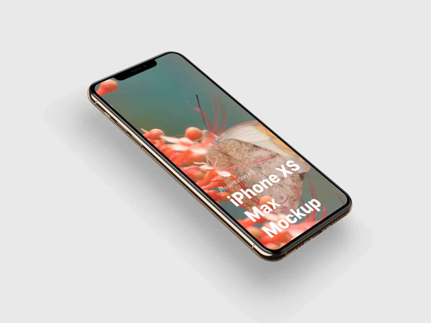 iPhone XS Max Mockups 31