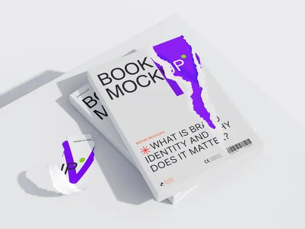 Boyne, Realistic Book Mockups and Packaging Mockups, EU, 12