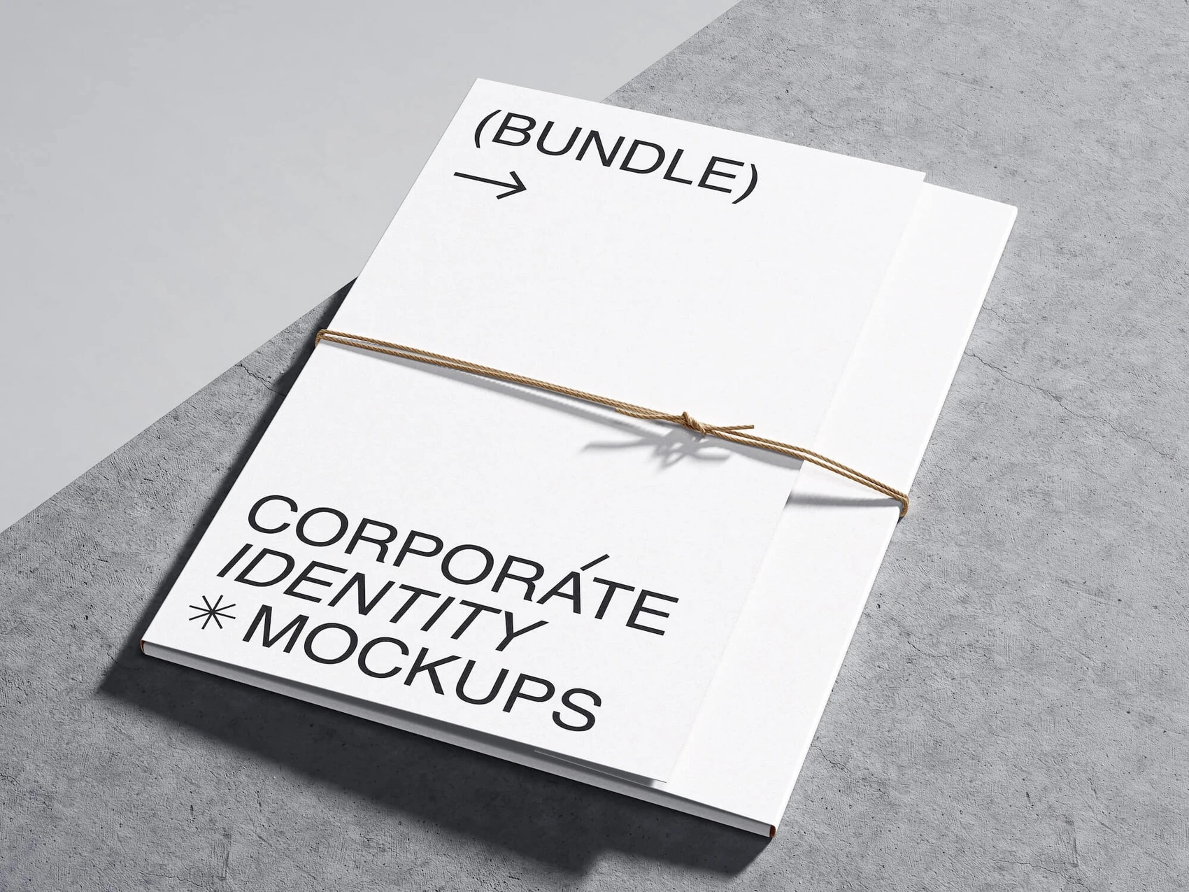 Qubus, Simple and Flawless Folder Mockup, EU, 15 1