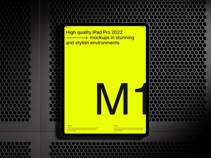 D-Mockups: iPad Pro, 14