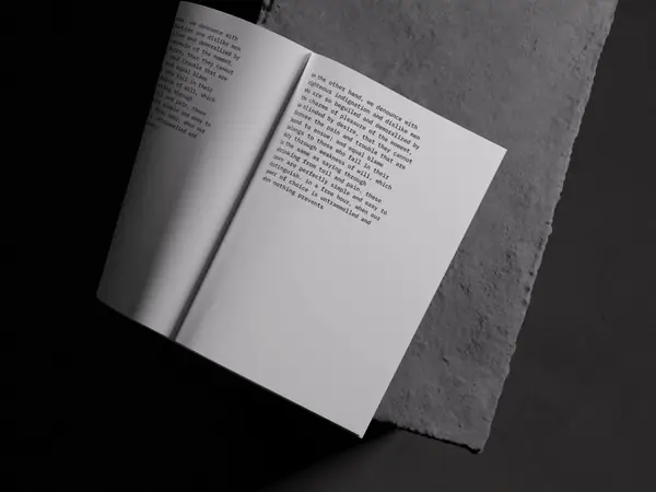 Luiro, Opened Magazine Mockup in Top View, US 05